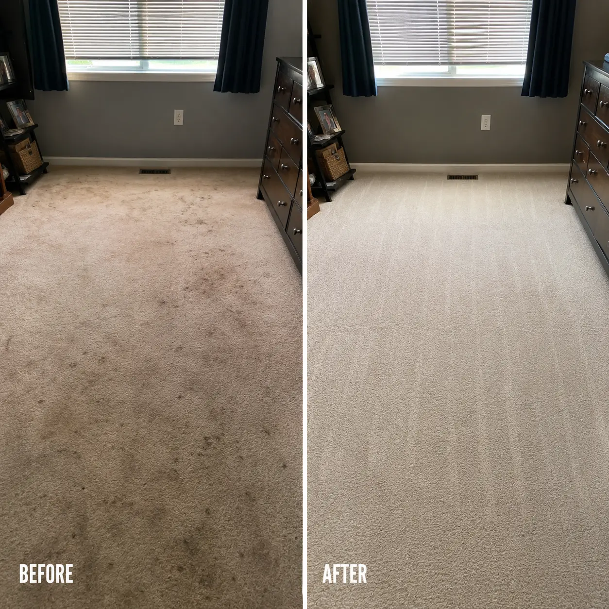 Carpet Cleaning Company in Spring hill