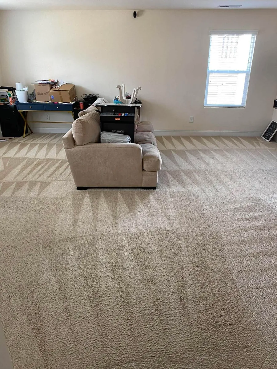 Clean living room carpet after professional carpet cleaning in Spring Hill, FL by Empire DLC Cleanings