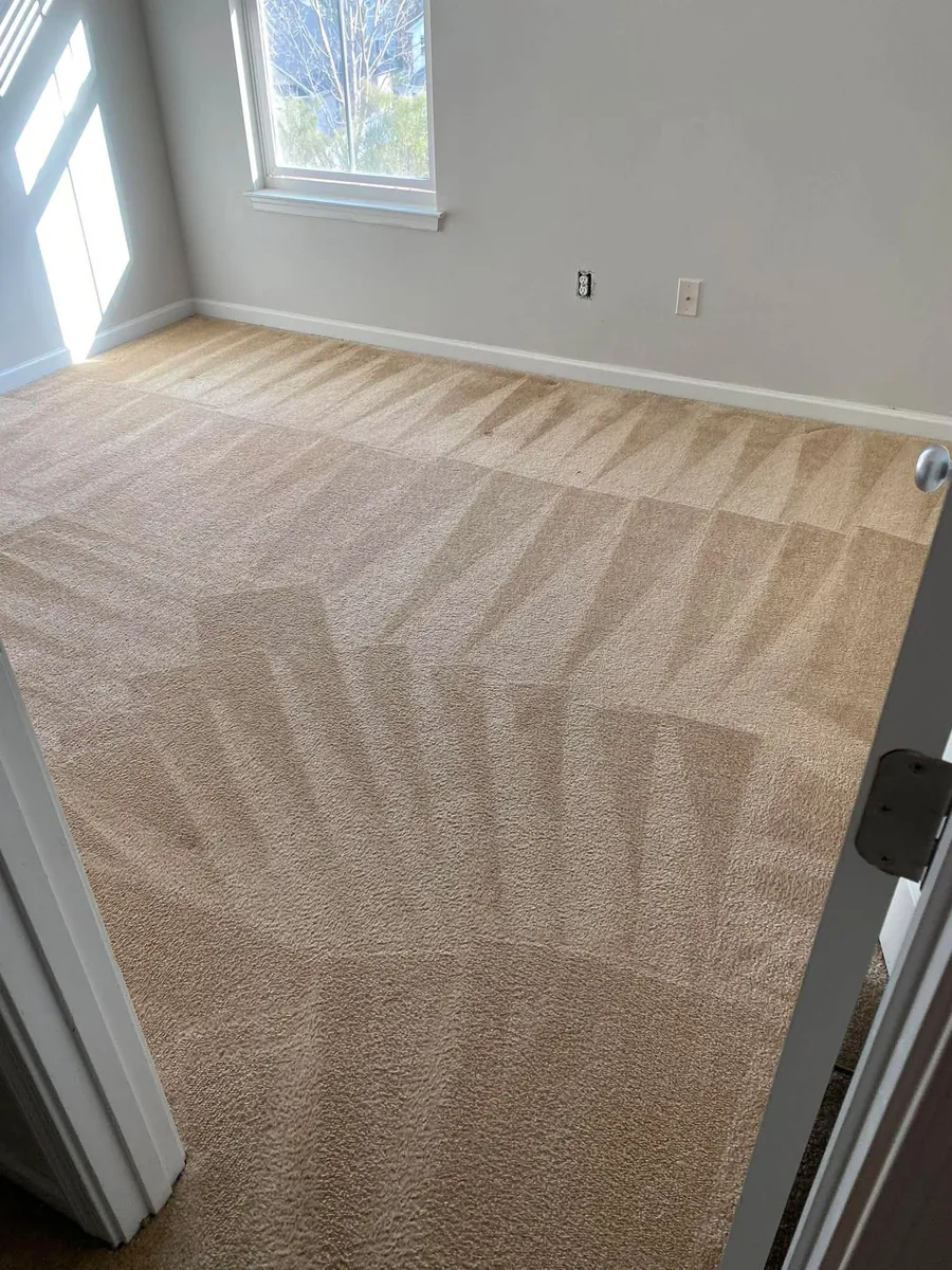 Bedroom carpet deep cleaned by Empire DLC Cleanings, carpet cleaning service in Weeki Wachee, FL