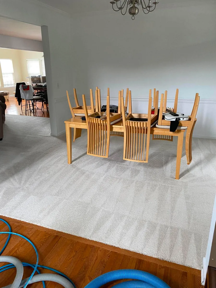 Dining room carpet cleaning in Weeki Wachee, FL - furniture moved and carpet deep cleaned by Empire DLC Cleanings