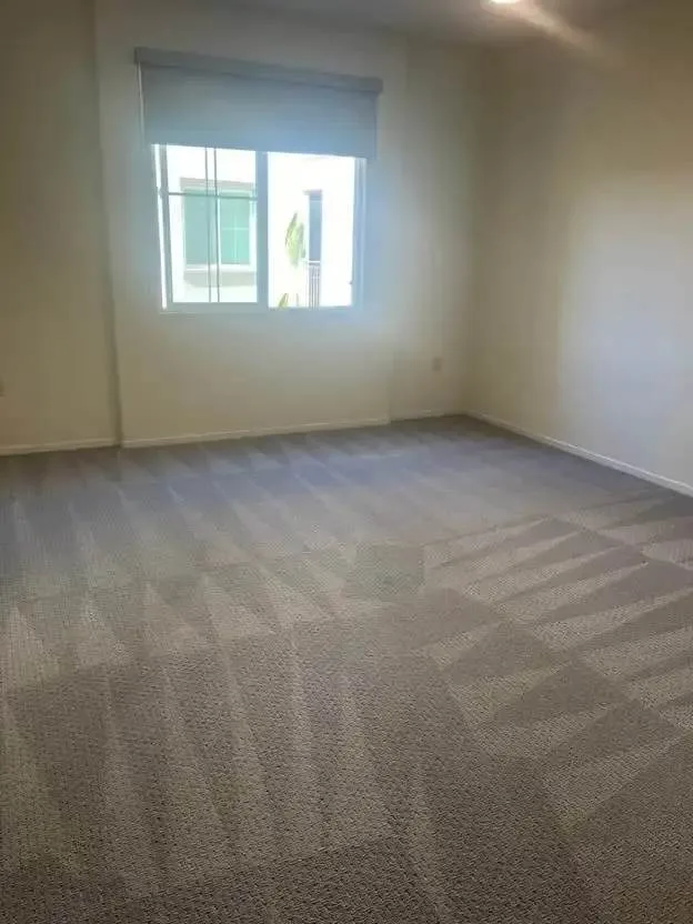 Freshly cleaned carpet in an empty room in Spring Hill