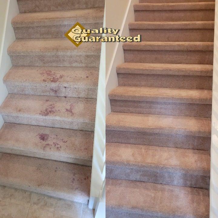Carpet Cleaning