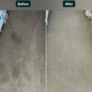 e carpet 1